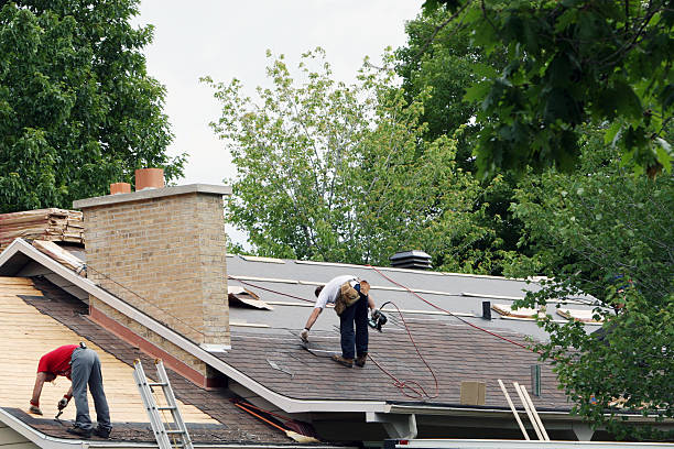 Best Storm Damage Roof Repair  in Ardmore, TN